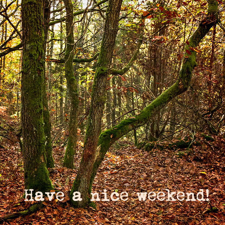 Have-a-nice-weekend